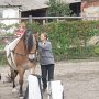 Casta 2009